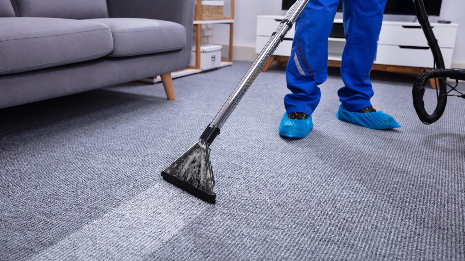 Professional cleaning carpet with vacuum cleaner and protective blue shoe covers